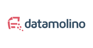 Datamolino logo