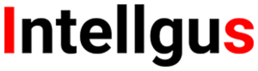 Intellgus logo
