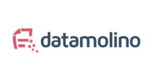 Datamolino logo